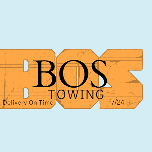 BOS LOGO